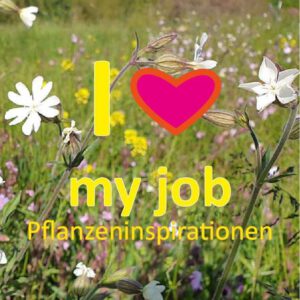 I love my job - Pflanzeninspirationen im August @ online