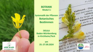 Lehrgang DEULA Botanik Modul 1: Systematik der Pflanzen – Botanisches Bestimmen @ DEULA Baden-Württemberg